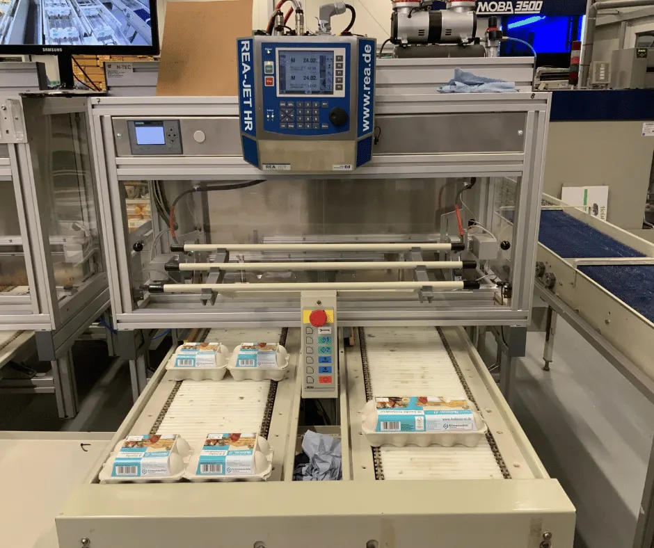 Automated Coding and Marking Solutions