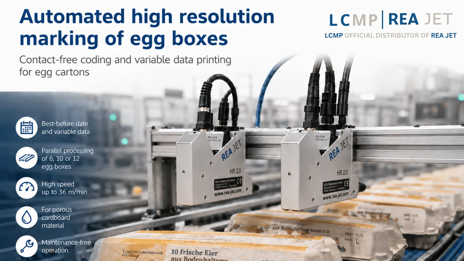 Automated Coding and Marking Solutions for Egg Cartons